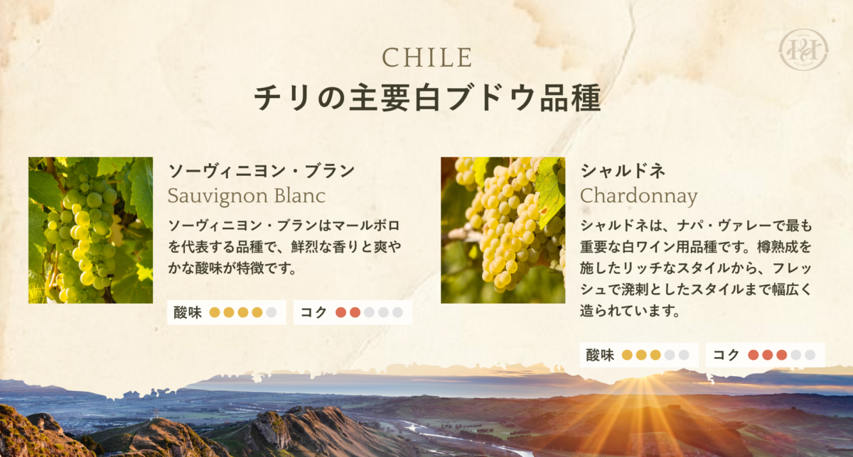 チリの主要白ブドウ品種