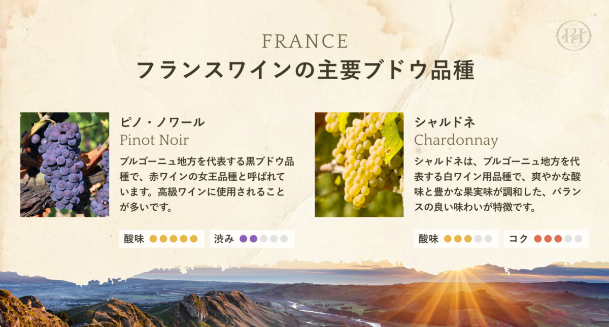 フランスワインの主要ブドウ品種