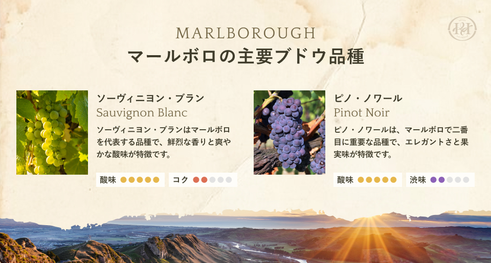 マールボロの主要ブドウ品種