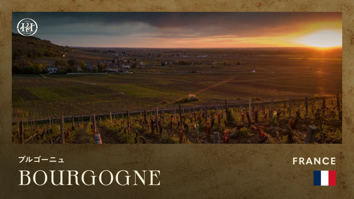 フランス、ブルゴーニュ地方のワイン