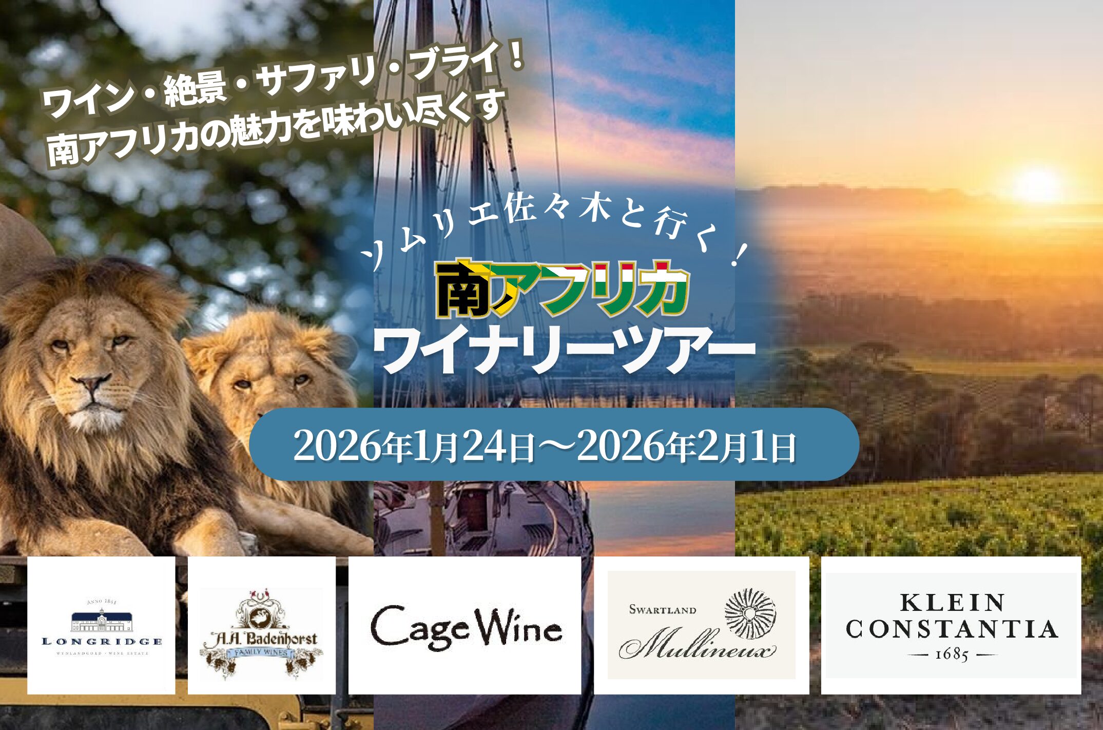 ワイン・絶景・サファリ・ブライ！ 南アフリカの魅力を味わい尽くす9日間